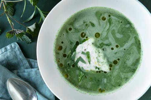 Spinatsuppe med estragon og pocheret æg