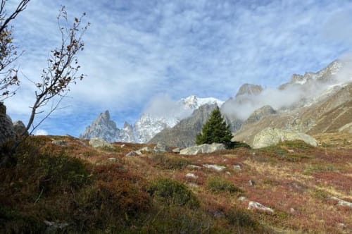 Vi sender en iskold tanke til guiden, da vi bliver overhalet af en børnefamilie på vej ned ad Mont Blanc