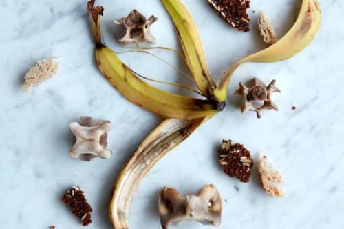 Sådan tryller du brune bananer og tørt rugbrød om til vidunderlig mad 