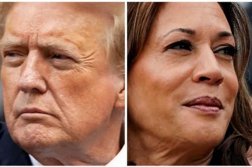 Min kæreste er helt i Trump-land. Hvad gør jeg?