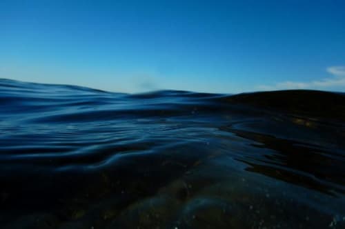 Havet er blevet til den dræberhval, som vi selv har skabt