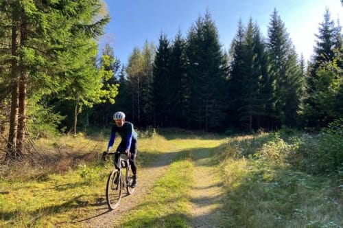 Kilometervis af bilfrie grusveje langs søer og i smuk natur: Svensk region satser stort på cykelturisme