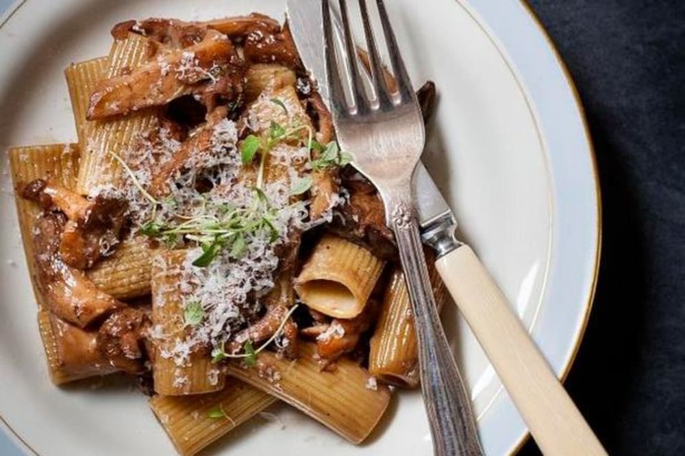 Pasta med svampesauce