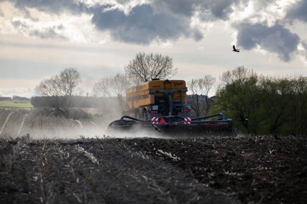Foto: Thomas Borberg