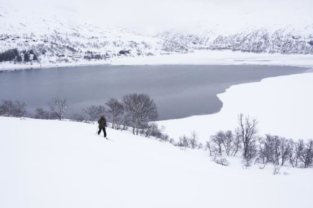 Her får du de norske fjelde næsten for dig selv: »Det er mest whiskyhytter heroppe«