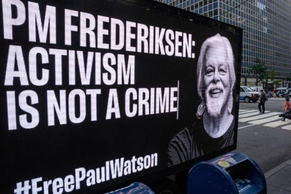 Advokat: Paul Watson skal ikke udleveres til Japan