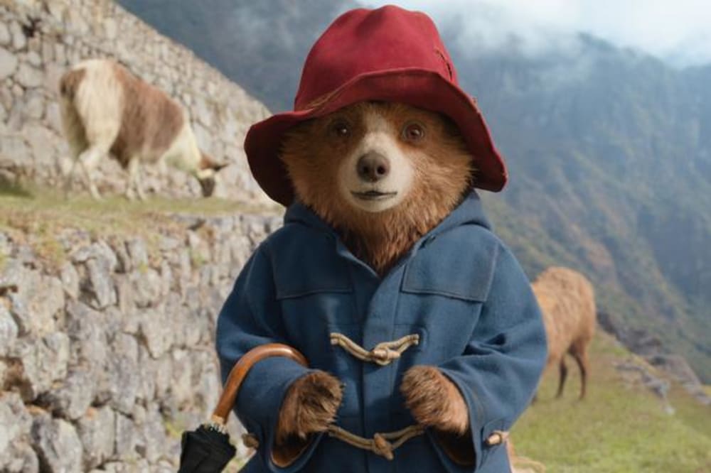 Paddington er endt som Gokke i kokosolie