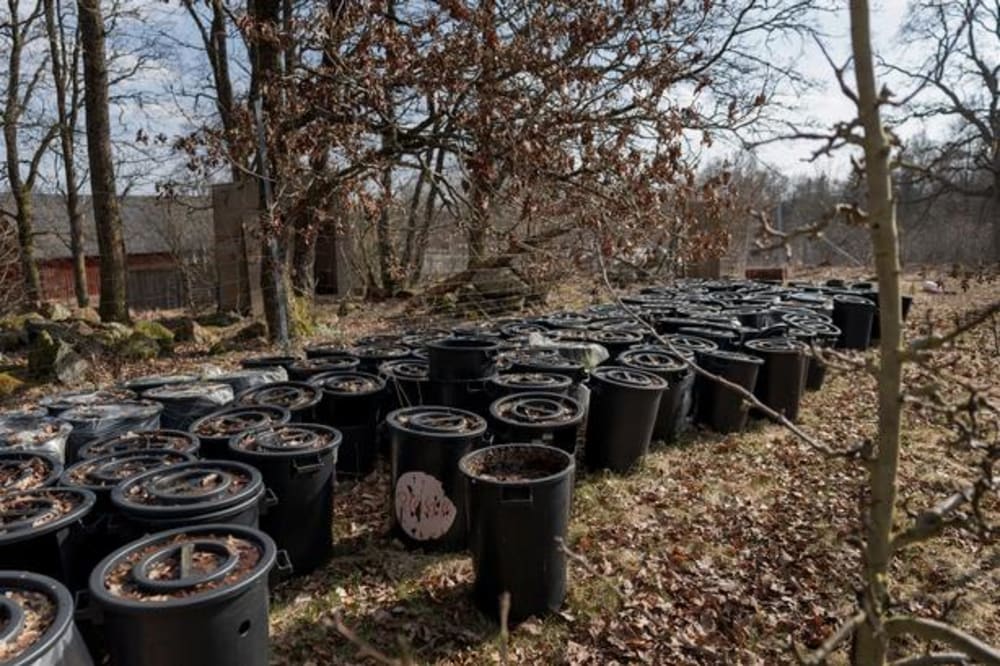 Gæsternes afføring er ulovligt blevet hældt ud på jorden bag naturhotellet Stedsans in the Woods. Den lokale kommune beskriver det som »miljøkriminalitet«. Det er uklart, hvad der skal ske med de 158 tønder med afføring, der er efterladt på det konkursramte hotel.Foto: Veronika Ljung-nielsen/DN