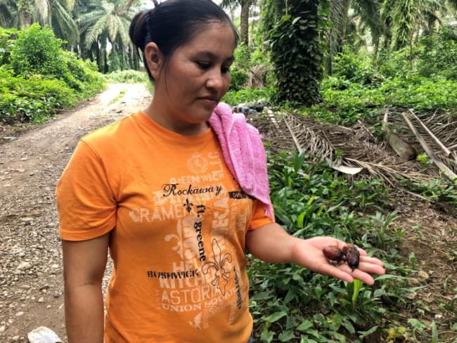 Honduras: Valg giver håb om social dialog 