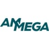 Finance Director for an international Business Unit – Ammega 