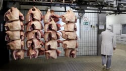 Stort slagteri må dreje nøglen om: Landmænd sender svin til slagtning i udlandet