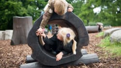 Isabella Arendt mente ikke, det var kontroversielt at sige, at skilsmisse er dårligt for børn. Hendes indbakke viser noget andet