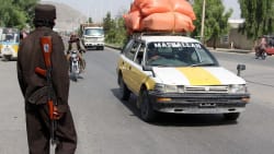 Taliban vil lukke alle organisationer, der beskæftiger kvinder