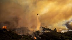30.000 evakueret efter naturbrand hurtigt breder sig i Los Angeles