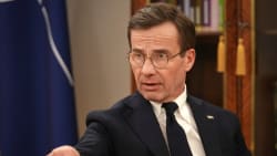 Svensk statsminister: Danmark og Grønland bestemmer selv