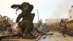 Anerkendt kunst gået op i røg på prominente adresser i Los Angeles
