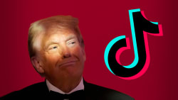 Efter Trump-melding er TikTok igen tilgængeligt i USA: 'En mærkelig og bizar situation'