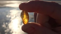 How to rav: Ny app giver alle muligheden for at finde nordens guld 