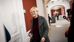 Folketingsmedlem Karin Liltorp melder sig ind i Alternativet