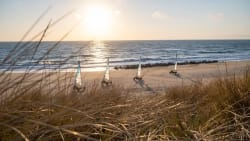 Strandræs skaber bekymringer: Bent ryster på hovedet over minister