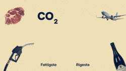 Bøffer, benzin og flyrejser: De 10 procent rigeste danskere har et markant større klimaaftryk end dem, der tjener mindst 