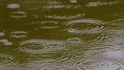 Regn over tørkeramt landsdel: Prognose viser op til 20 millimeter