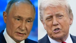 Trump om Putin: Han er blevet fuldstændig vanvittig