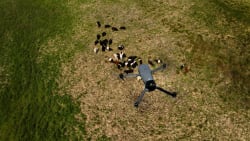 Danmarks første naturnationalpark: Varmesøgende drone holder øje med dyrevelfærden