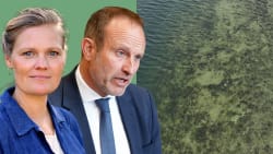 Partier kræver uvildig undersøgelse af det politiske ansvar for 'skandale' i Miljøministeriet 