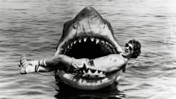 Filmen blev den første blockbuster. Nu fylder Spielbergs gyserklassiker 50 år