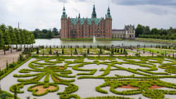 Insekt truer 25.000 planter i majestætisk have: 'Får vi det først her, så er det selvfølgelig lidt uoverskueligt'