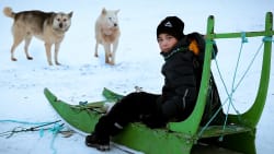 'Min klasse i Grønland' og 'Scooter Boys' hædret ved Buster Filmfestival