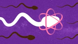 Slut med dum sæd: Dansk sædbank har minimumskrav til donorers IQ