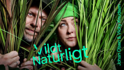 Ved du, hvorfor du har blå øjne, og hvorfor næbdyret lægger æg?