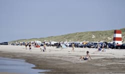 Klimaet ændrer strandlivet - skraldet følger med