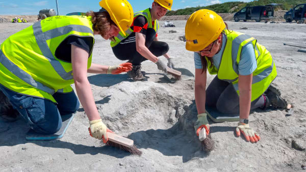 166 millioner år gammel 'dinosaur-motorvej' fundet i England