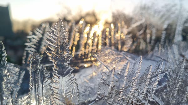 Er du træt af frostvejret? Så er der gode nyheder til dig
