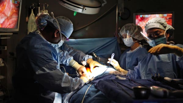 Over 120.000 danskere tog i december stilling til organdonation