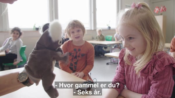 Danskernes dårlige tysk koster omsætning: Nær grænsen er tyskundervisning obligatorisk for de mindste