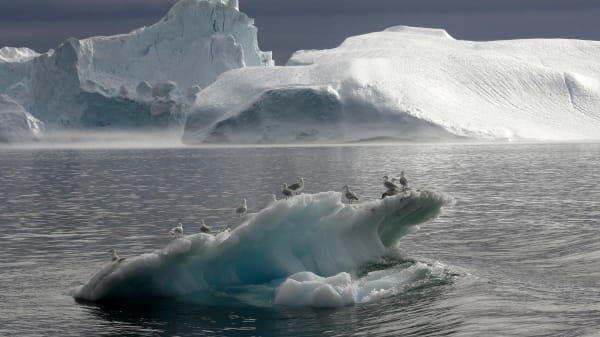 Dansk succes ved vigtigt klimamøde: Frygt for kritisk kollaps i havet tages seriøst