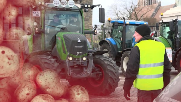 ANALYSE Frustrerede danske landmænd sparker en åben dør ind i Europa