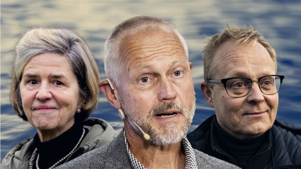 Tre eksperter om risikoen for højere havniveau: 'Vi bliver nødt til at forstå, hvad vi risikerer' 