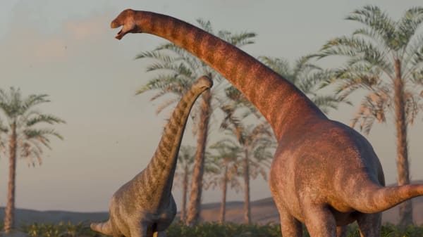 Forskere har fundet en ny dinosaur-art