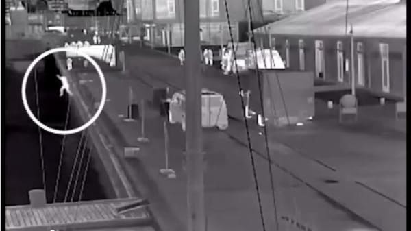 Efter flere drukneulykker får Aalborg bedre kameraovervågning 