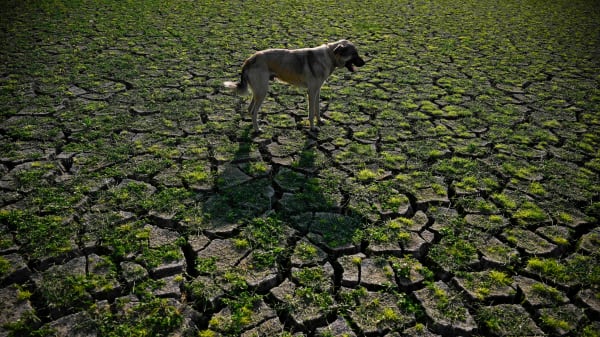 Europa er det kontinent, hvor temperaturen stiger hurtigst