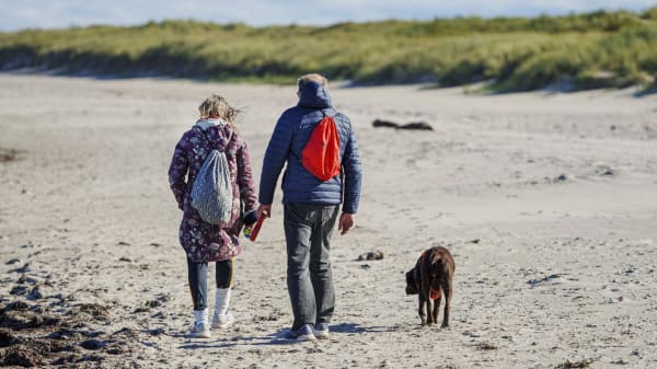 Tyske turister kan ikke undvære den: Guide viser, hvor hunden er velkommen