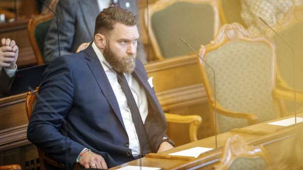Liberal Alliance vil have taskforce til at undervise i Muhammedkrisen