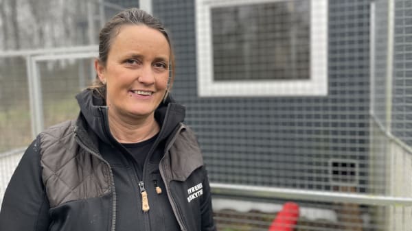 Kaniner er populære lige nu, men mange bliver afleveret på internat til vinter
