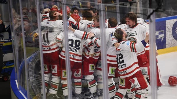 Odense Bulldogs slår til i første hug