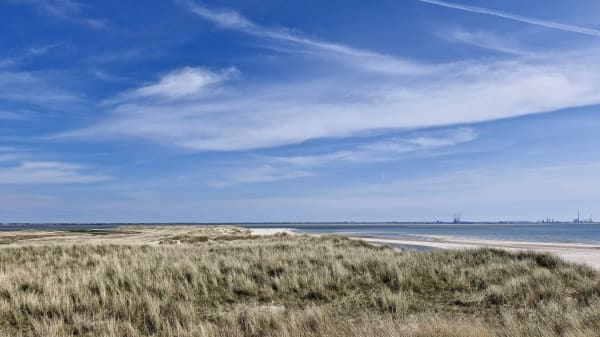 Lun og mindre blæsende forårsdag i vente – sydpå kan temperaturen runde 20 grader